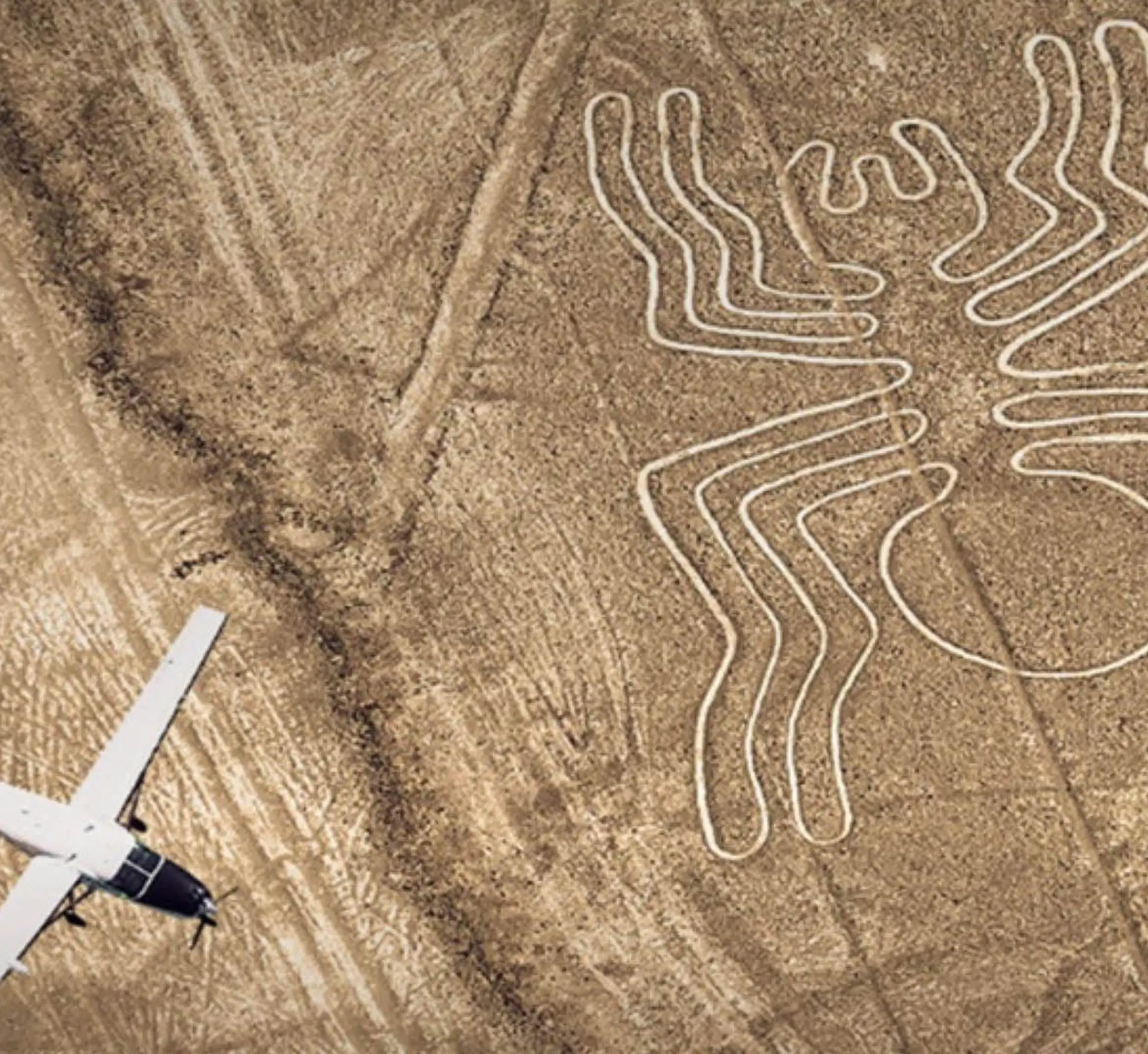 Tour Flight Over the Nazca Lines from Lima 3