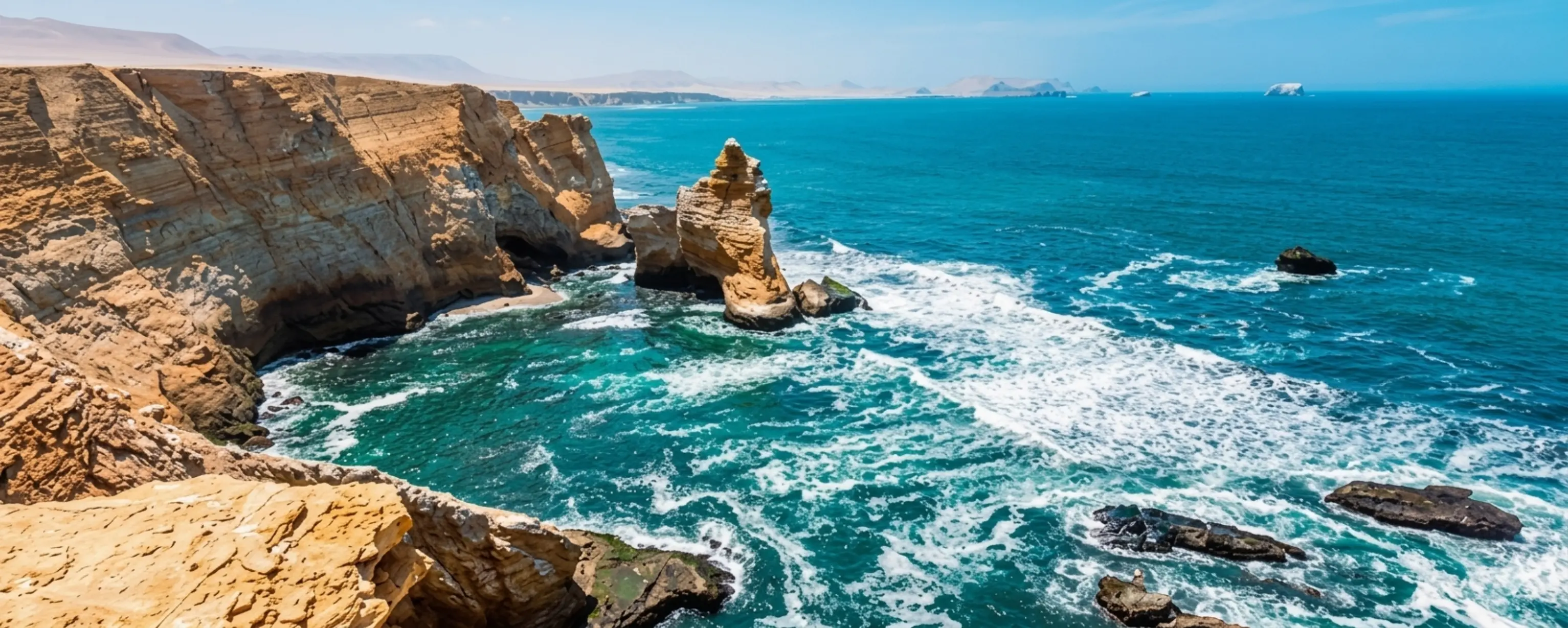 Tour to the Ballestas Islands and Paracas National Reserve 2